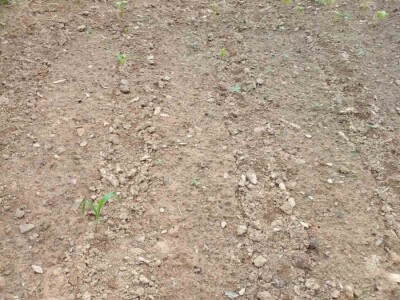 Muharem Ramljak: Zahvalni smo Adnanu na pomoći, vraća nadu u dobre ljude