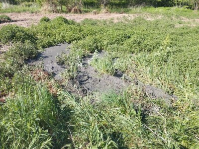 Mulj s mirkoplastikom završava u banijskom tlu Mulj s mirkoplastikom završava u banijskom tlu