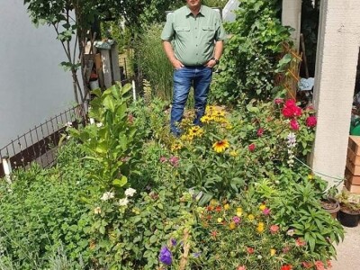 Muris Pašanović: Delfinijum je kralj cvijeća, a nije ga teško uzgajati