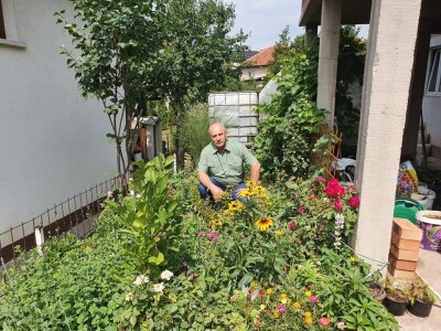 Muris Pašanović: Delfinijum je kralj cvijeća, a nije ga teško uzgajati