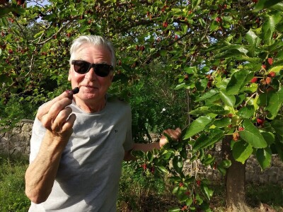 SEZONA MURAVA - Agronomi u "krađi" murava kod kuma Ante u Suhovarama