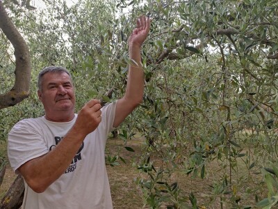 MURVICA GORNJA - Odlazak u mirovinu  vatrogasni zapovjednik  Željko Šoša proslavio u masliniku! MURVICA GORNJA - Odlazak u mirovinu  vatrogasni zapovjednik  Željko Šoša proslavio u masliniku!