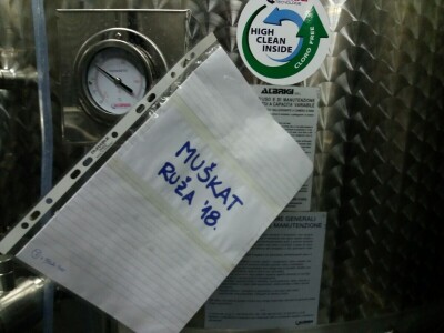 Muškat ruža porečka