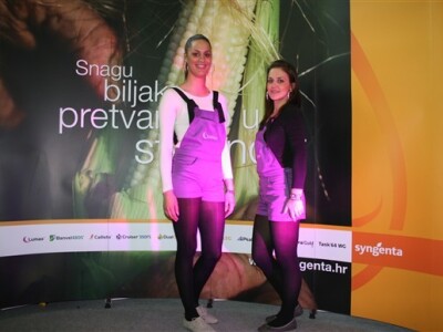 Syngenta hostese