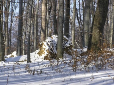 Muški bunar na Psunju Muški bunar na Psunju