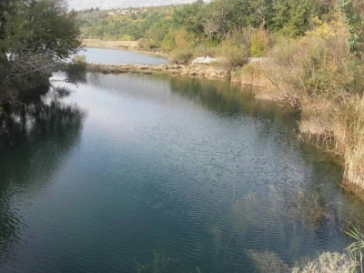 Muškovci