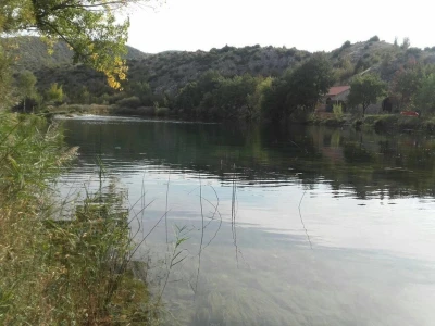 Muškovci