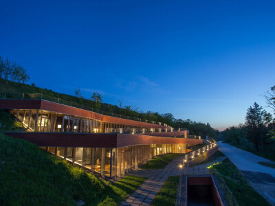 Muzej vučedolske kulture