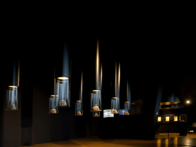 Muzej vučedolske kulture