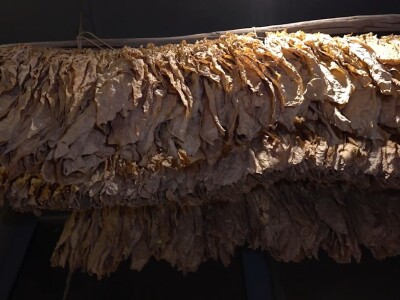 Muzej duhanaLjubuški jedinstven u regiji