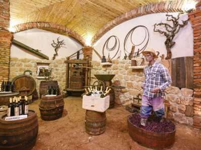 Muzej pelješke tradicije Muzej pelješke tradicije