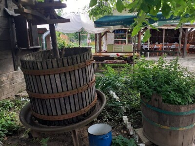 Muzej sela u Karancu Muzej sela u Karancu