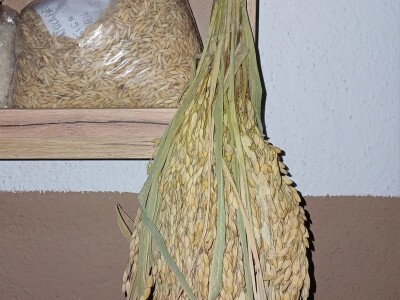 "Muzej sjemena" Zavidovići "Muzej sjemena" Zavidovići