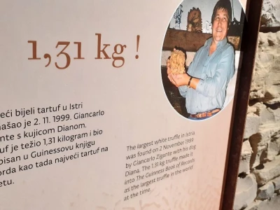 Muzej tartufa