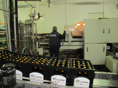 7. Dani  piva u Daruvaru po prvi put na glavnom gradskom trgu