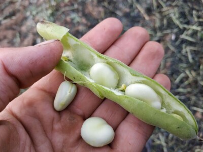 Na 12 hiljada hektara, osam radnika