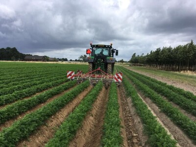 Na 12 hiljada hektara, osam radnika