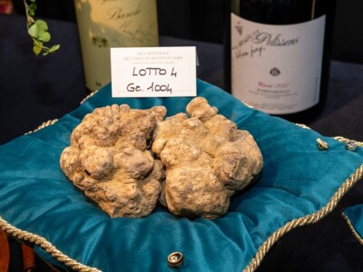 Na 24. Svjetskoj aukciji bijelog tartufa, održanoj u italijanskom mjestu Grinzane Cavour, najskuplji je bio primjerak težak 1004 g, izvještava Gambbero Rosso. Rekordni iznos od 130.000 evra je ponudio