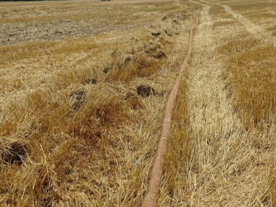 Na ciljanim parcelama gospodarstva Poljo-Gaj