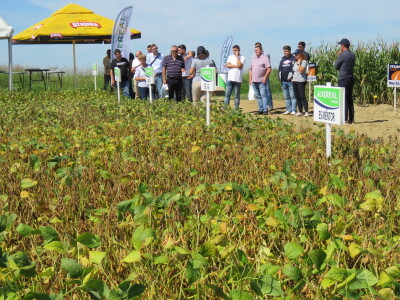 Na Danima polja soje Axereal predstavio i nove sorte - u prodaji od iduće godine