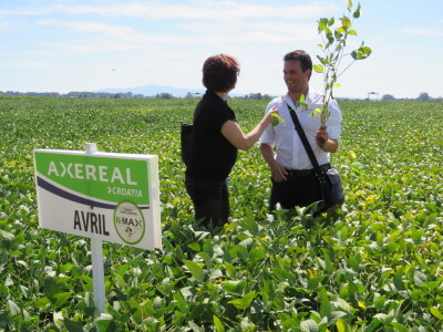 Na Danima polja soje Axereal predstavio i nove sorte - u prodaji od iduće godine
