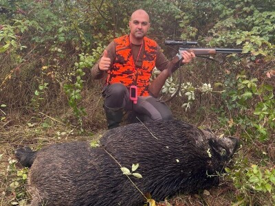 Na Duškov nišan pao vepar kapitalac od 192 kg Na Duškov nišan pao vepar kapitalac od 192 kg