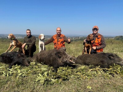 Na Duškov nišan pao vepar kapitalac od 192 kg Na Duškov nišan pao vepar kapitalac od 192 kg