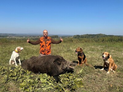 Na Duškov nišan pao vepar kapitalac od 192 kg Na Duškov nišan pao vepar kapitalac od 192 kg