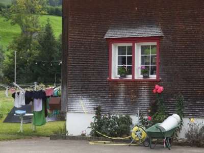 Na farmi u Steinu krave masiraju pivskim kvascem