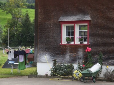 Na farmi u Steinu krave masiraju pivskim kvascem