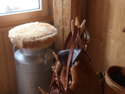 Na farmi u Steinu krave masiraju pivskim kvascem