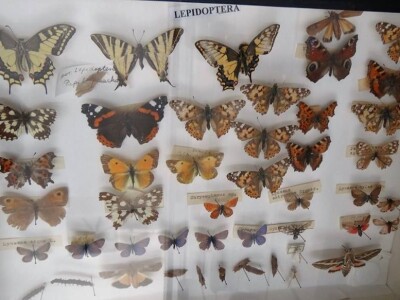 Na FAZOS-u održana Radionica ˝Zaštita prirode u poljoprivredi˝!