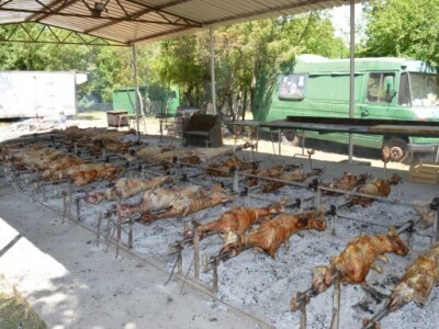 Na jednom mjestu  vrti se 55 janjaca