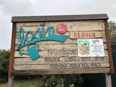 Na Malom Lošinju dvoje Talijana jedini uzgajivači povrća