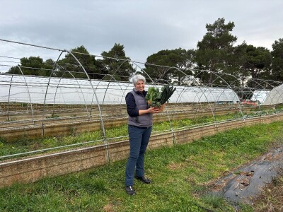 Na Malom Lošinju dvoje Talijana jedini uzgajivači povrća