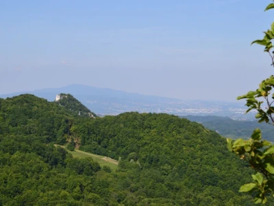 Na Okić