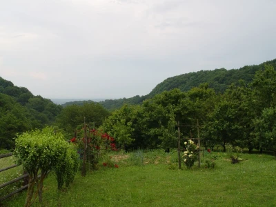 Na Okić