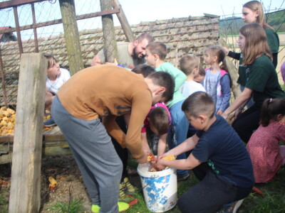 Na OPG Bišćan održana radionica Mali svinjogojci