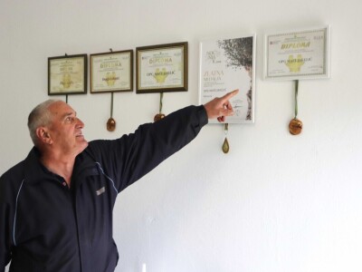 Na OPG-u Jakelića najveća radost je branje maslina