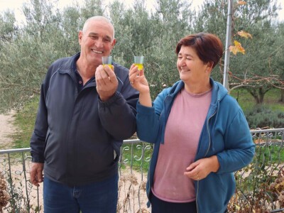 Na OPG-u Jakelića najveća radost je branje maslina