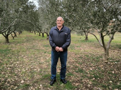 Na OPG-u Jakelića najveća radost je branje maslina