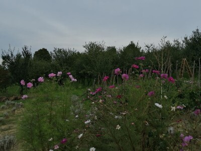Na OPG-u Mohokos uspješno spojili ekološku poljoprivredu i zeleni turizam Na OPG-u Mohokos uspješno spojili ekološku poljoprivredu i zeleni turizam