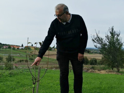 Na OPG-u Mohokos uspješno spojili ekološku poljoprivredu i zeleni turizam Na OPG-u Mohokos uspješno spojili ekološku poljoprivredu i zeleni turizam