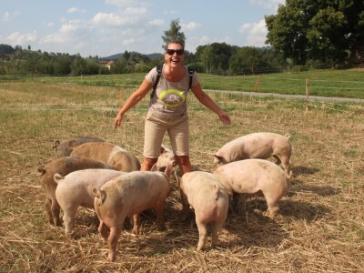 Na ovoj farmi krave jedu pivski kvasac