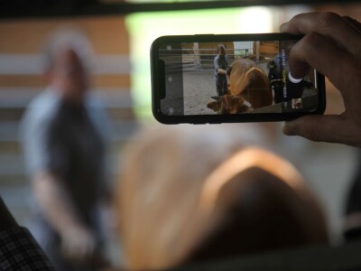 Na ovoj farmi krave jedu pivski kvasac