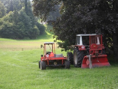 Na ovoj farmi krave jedu pivski kvasac