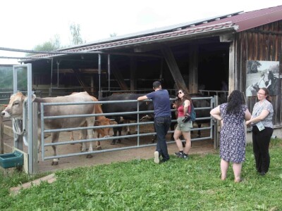 Na ovoj farmi krave jedu pivski kvasac