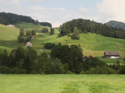 Na ovoj farmi krave jedu pivski kvasac