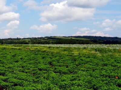 Granica između dva polja