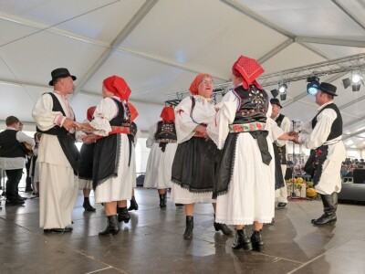 Na vidovečkoj Zeljarijadi spremljena mega sarma duga 1,5 kilometar